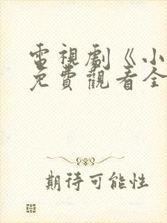 电视剧《小舅》免费观看全集高清