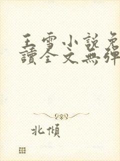王雪小说免费阅读全文无弹窗封面