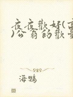 夜夜欢好(高h)公翁的欢爱封面