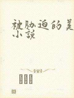 被胁迫的美人 小说封面