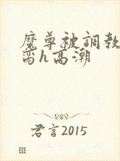 魔尊被调教成禁脔h高潮封面