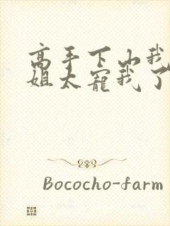 高手下山我家师姐太宠我了全文免费封面