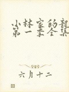 小林家的龙女仆第一季全集免费封面