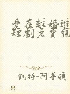 爱在离婚进行时短剧免费观看全集