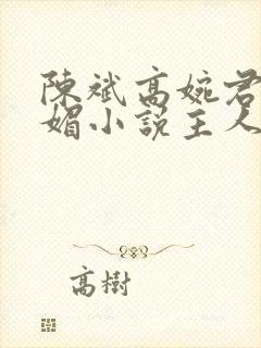 陈斌高婉君赵心媚小说主人公免费阅读