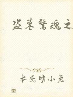 盗墓惊魂之锁魂封面