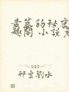 黄蓉的秘密 笔趣阁 小说免费阅读下载