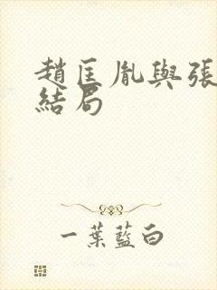 赵匡胤与张美玉结局