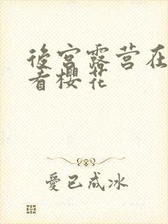 后宫露营在线观看樱花