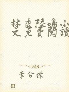 林爽陆鸣小说全文免费阅读