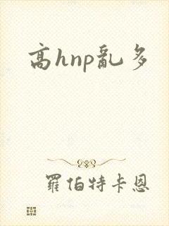 高hnp乱多
