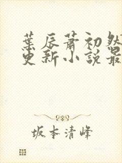 叶辰萧初然最快更新小说最新章节