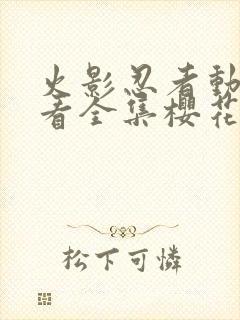 火影忍者动漫观看全集樱花动漫9.1封面