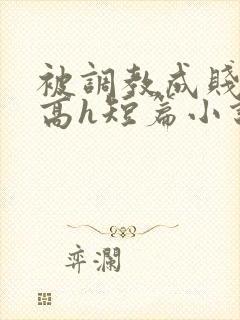 被调教成贱奴的高h短篇小说推荐