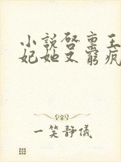 小说启禀王爷王妃她又穷疯了免费阅读封面