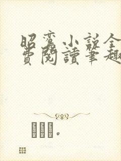 昭鸾小说全文免费阅读笔趣阁