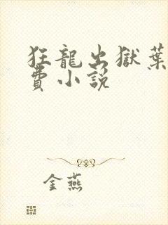 狂龙出狱叶风免费小说
