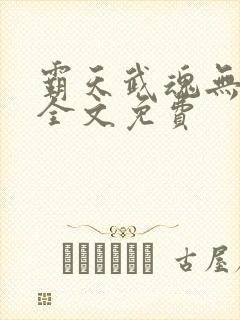 霸天武魂无弹窗全文免费