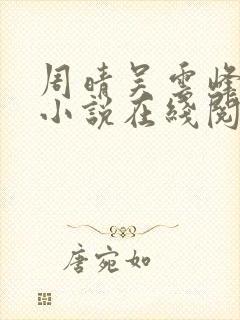 周晴吴云峰李磊小说在线阅读