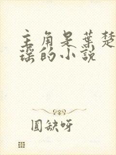 主角是叶楚姜君瑶的小说封面