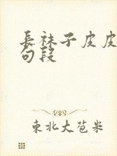 长袜子皮皮精彩句段