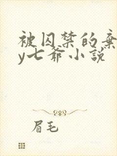 被囚禁的弃妃by七爷小说