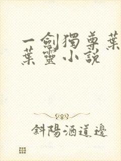 一剑独尊叶玄,叶灵小说封面