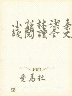 小说林洁秦齐在线阅读全文封面