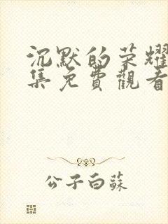 沉默的荣耀40集免费观看全集