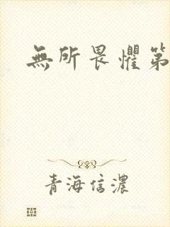 无所畏惧第二部