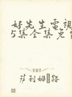 好先生电视剧45集全集免费