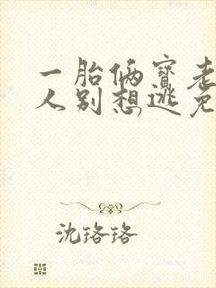 一胎俩宝老婆大人别想逃免费阅读