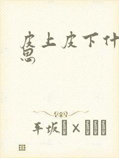 皮上皮下什么意思