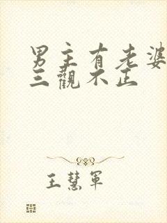 男主有老婆出轨三观不正