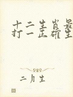 十二生肖最实际打一正确生肖