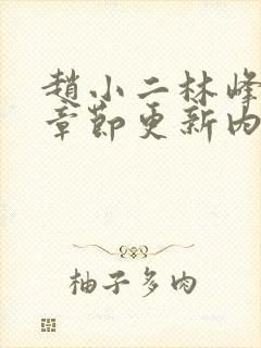 赵小二林峰最新章节更新内容是什么封面