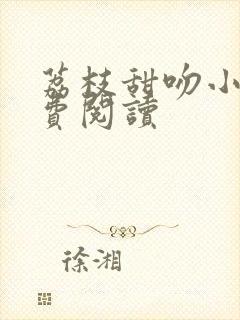 荔枝甜吻小说免费阅读封面