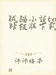 贼猫小说txt精校版下载封面