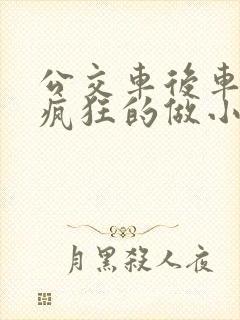 公交车后车座的疯狂的做小