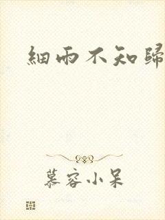 细雨不知归