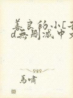 善良的小[子hd无删减中文