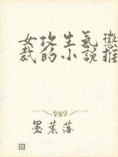 女攻生气惩罚总裁的小说推荐封面