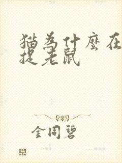 猫为什么在晚上捉老鼠