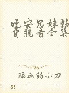 晚安兄妹动漫免费观看全集