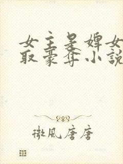 女主是婢女被强取豪夺小说