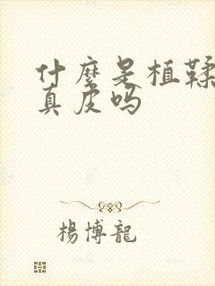 什么是植鞣皮是真皮吗