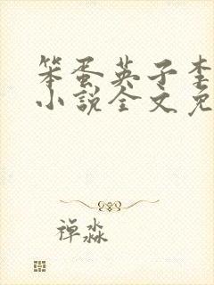 笨蛋英子李力雄小说全文免费阅读无弹窗