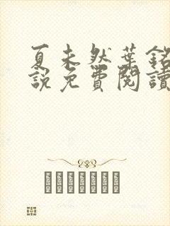 夏未然叶铭恩小说免费阅读最新章节