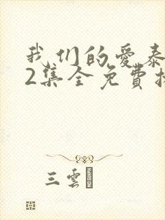 我们的爱泰剧12集全免费播放封面