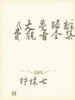 《大梦归离》免费观看全集高清